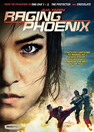 Raging Phoenix (2009) movie poster download